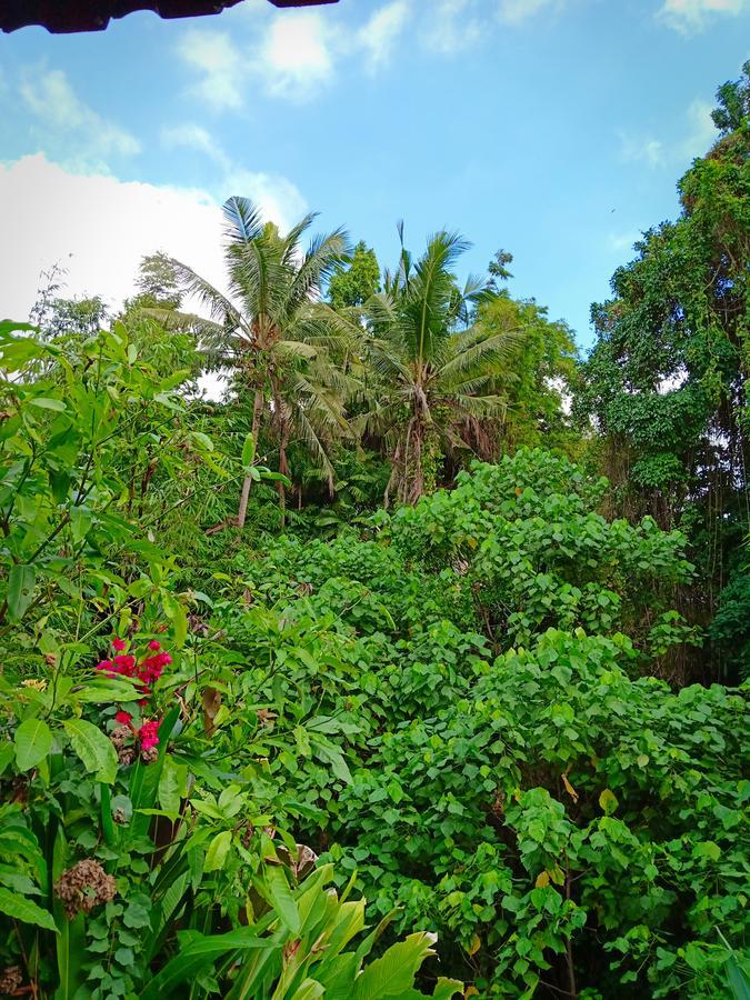 Apartamento Karma House Ubud Exterior foto